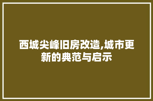 西城尖峰旧房改造,城市更新的典范与启示