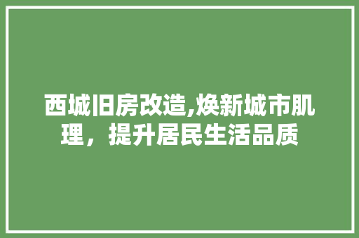 西城旧房改造,焕新城市肌理，提升居民生活品质