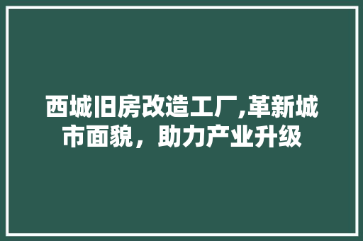 西城旧房改造工厂,革新城市面貌，助力产业升级