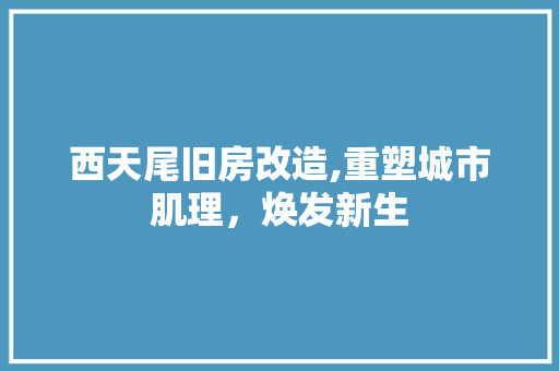 西天尾旧房改造,重塑城市肌理，焕发新生