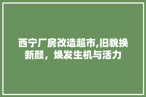 西宁厂房改造超市,旧貌换新颜，焕发生机与活力
