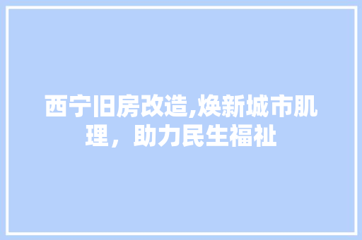 西宁旧房改造,焕新城市肌理，助力民生福祉