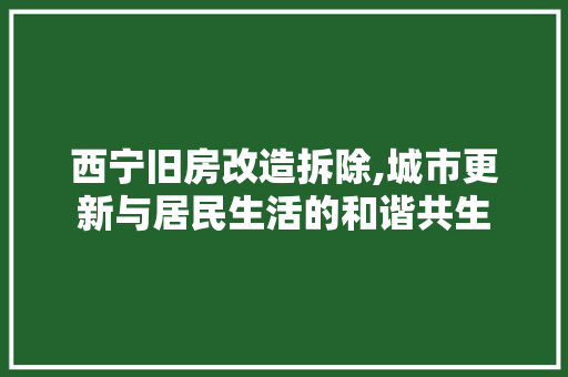 西宁旧房改造拆除,城市更新与居民生活的和谐共生
