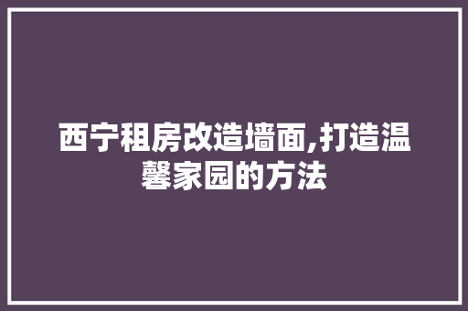 西宁租房改造墙面,打造温馨家园的方法