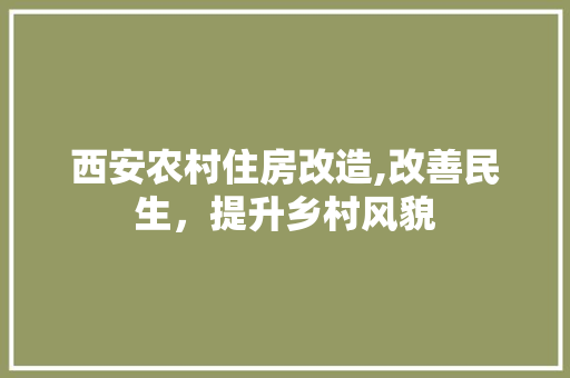 西安农村住房改造,改善民生，提升乡村风貌