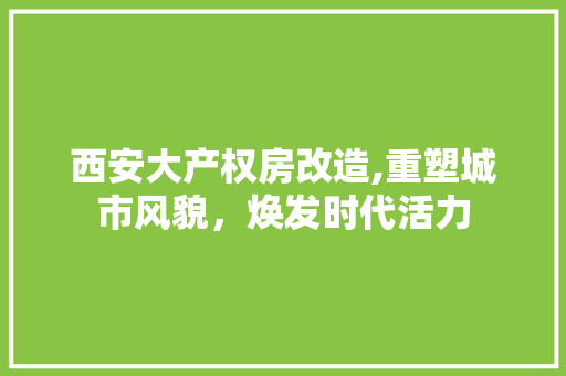 西安大产权房改造,重塑城市风貌，焕发时代活力