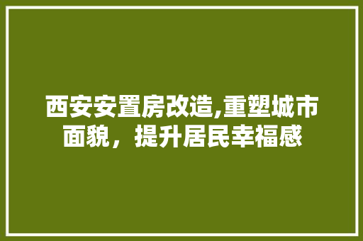西安安置房改造,重塑城市面貌，提升居民幸福感