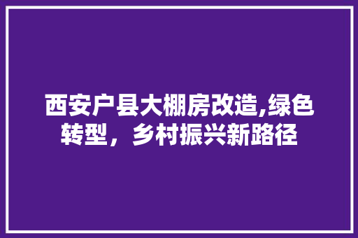 西安户县大棚房改造,绿色转型，乡村振兴新路径