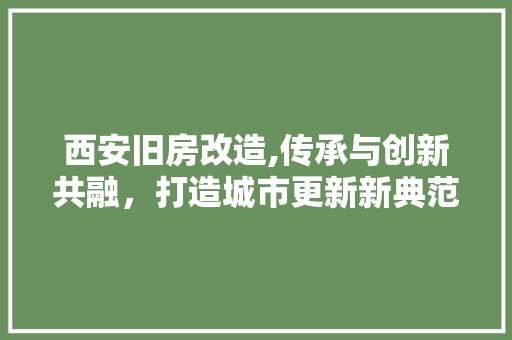 西安旧房改造,传承与创新共融，打造城市更新新典范