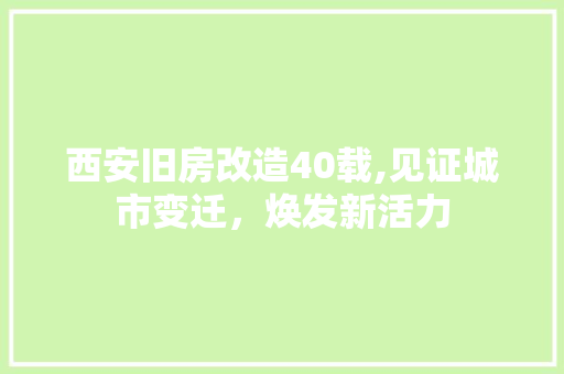 西安旧房改造40载,见证城市变迁，焕发新活力