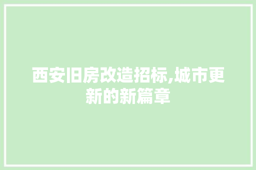 西安旧房改造招标,城市更新的新篇章