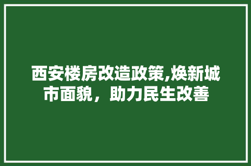 西安楼房改造政策,焕新城市面貌，助力民生改善
