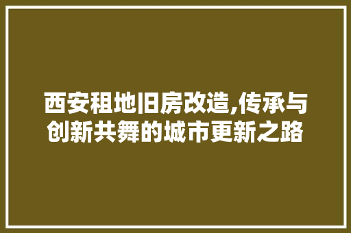 西安租地旧房改造,传承与创新共舞的城市更新之路