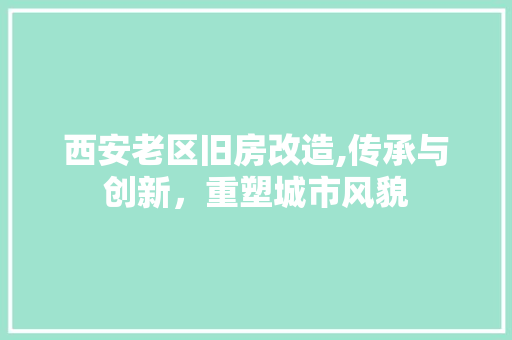 西安老区旧房改造,传承与创新，重塑城市风貌