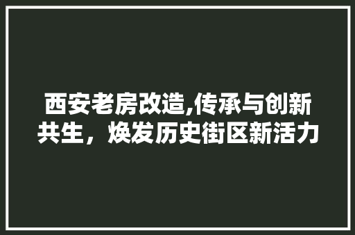 西安老房改造,传承与创新共生，焕发历史街区新活力
