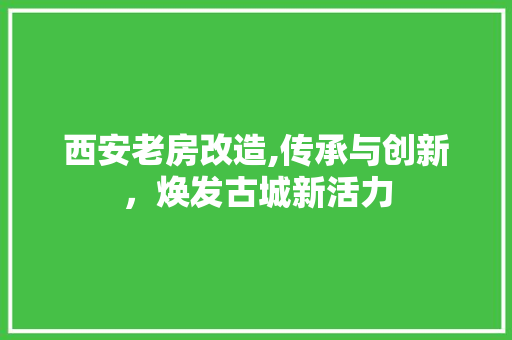西安老房改造,传承与创新，焕发古城新活力