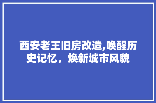西安老王旧房改造,唤醒历史记忆，焕新城市风貌