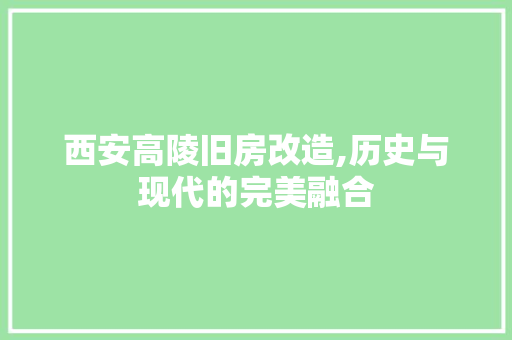 西安高陵旧房改造,历史与现代的完美融合 厨房维修