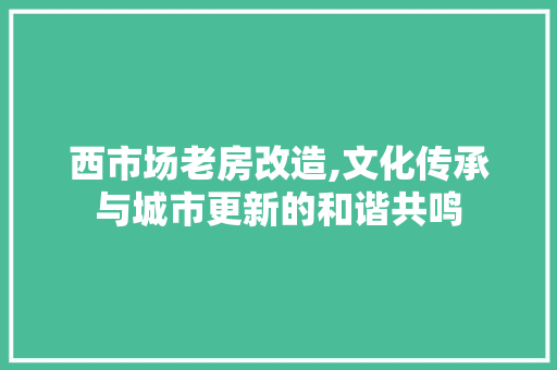 西市场老房改造,文化传承与城市更新的和谐共鸣