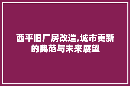 西平旧厂房改造,城市更新的典范与未来展望