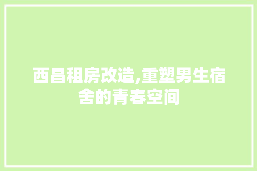 西昌租房改造,重塑男生宿舍的青春空间 居家维修