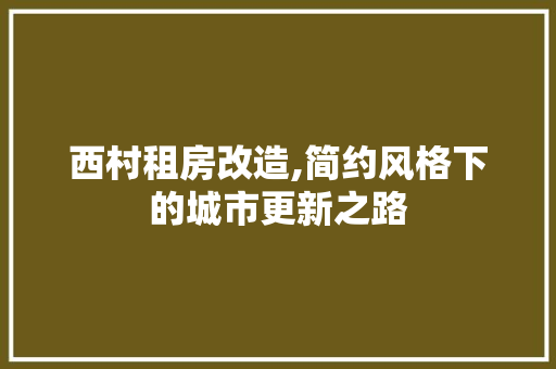 西村租房改造,简约风格下的城市更新之路
