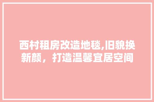 西村租房改造地毯,旧貌换新颜，打造温馨宜居空间