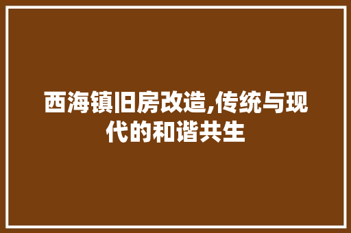 西海镇旧房改造,传统与现代的和谐共生