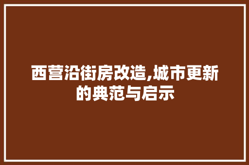 西营沿街房改造,城市更新的典范与启示