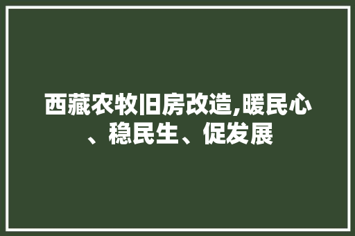 西藏农牧旧房改造,暖民心、稳民生、促发展