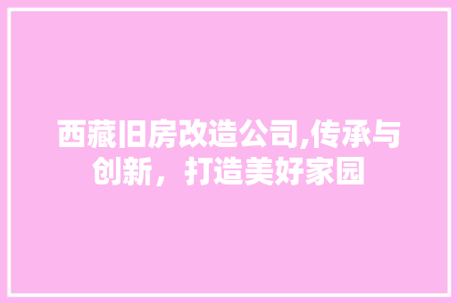 西藏旧房改造公司,传承与创新，打造美好家园