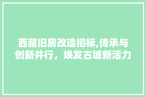 西藏旧房改造招标,传承与创新并行，焕发古城新活力