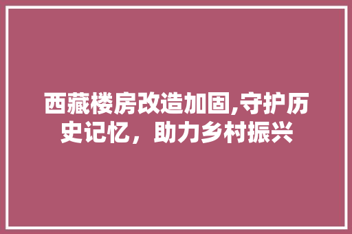 西藏楼房改造加固,守护历史记忆，助力乡村振兴