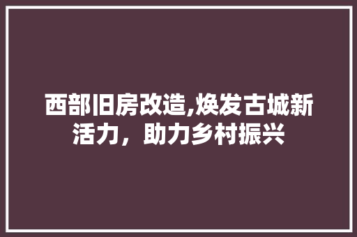 西部旧房改造,焕发古城新活力，助力乡村振兴