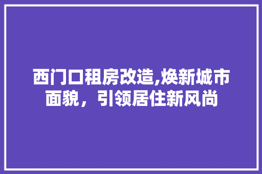 西门口租房改造,焕新城市面貌，引领居住新风尚
