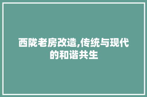 西陇老房改造,传统与现代的和谐共生