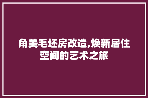 角美毛坯房改造,焕新居住空间的艺术之旅