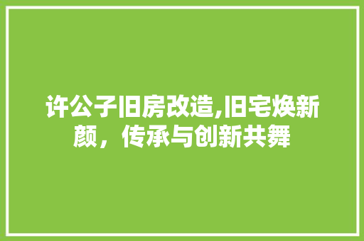 许公子旧房改造,旧宅焕新颜，传承与创新共舞