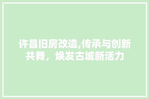 许昌旧房改造,传承与创新共舞，焕发古城新活力
