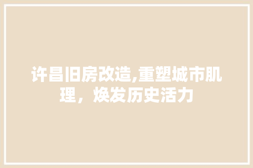 许昌旧房改造,重塑城市肌理，焕发历史活力