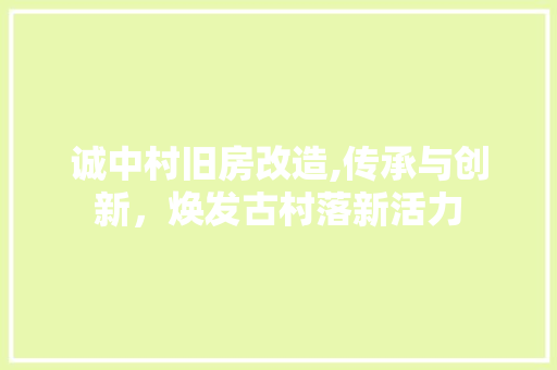 诚中村旧房改造,传承与创新，焕发古村落新活力