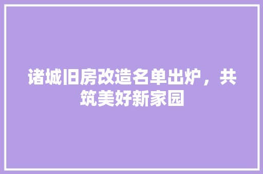 诸城旧房改造名单出炉，共筑美好新家园