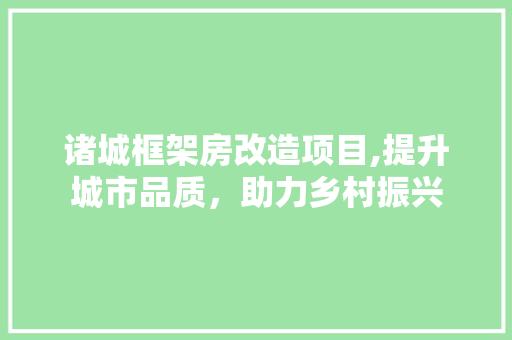 诸城框架房改造项目,提升城市品质，助力乡村振兴