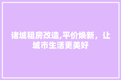 诸城租房改造,平价焕新，让城市生活更美好