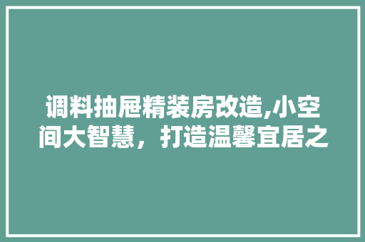 调料抽屉精装房改造,小空间大智慧，打造温馨宜居之家
