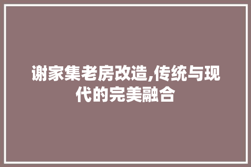 谢家集老房改造,传统与现代的完美融合