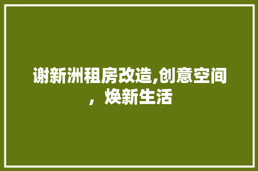 谢新洲租房改造,创意空间，焕新生活
