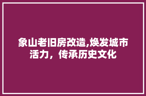 象山老旧房改造,焕发城市活力，传承历史文化