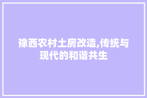 豫西农村土房改造,传统与现代的和谐共生