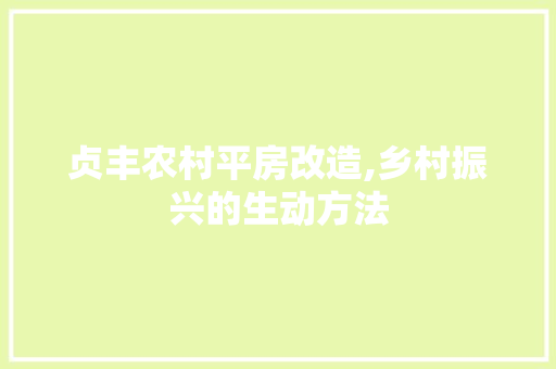 贞丰农村平房改造,乡村振兴的生动方法